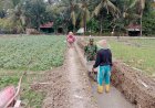 KBM Kodim 0709/Kebumen Bangun Irigasi 300 Meter, Petani Jatipurus Dapat Angin Segar